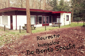 Bonte Specht